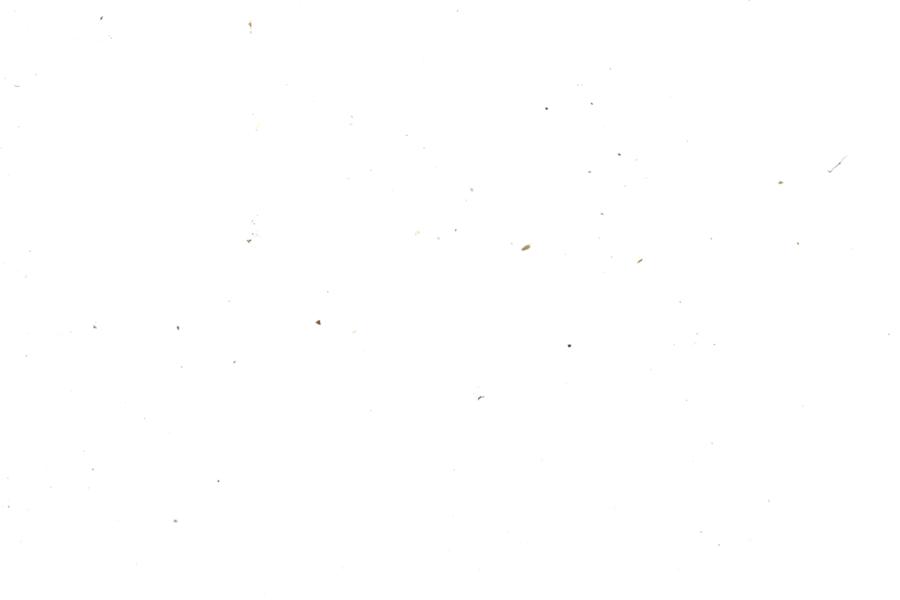 Image 31